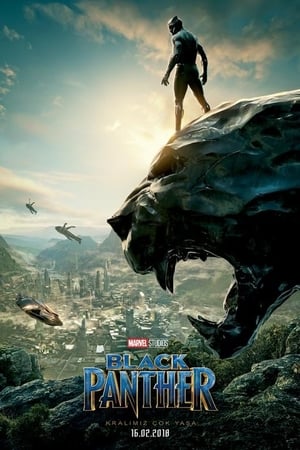 Black Panther – Kara Panter izle Türkçe Dublaj 1080p