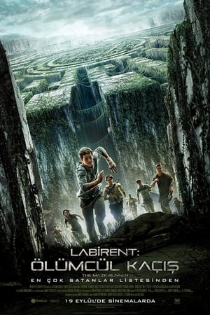 Labirent 1 izle| The Maze Runner Türkçe Dublaj