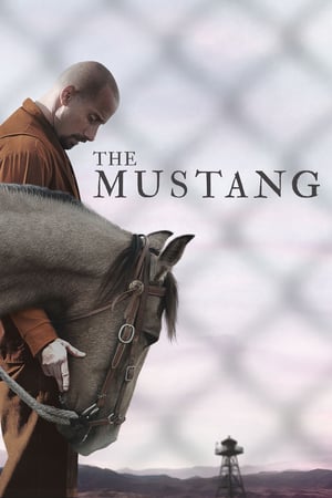 Mustang  – Yabani At İzle 2019 Türkçe Dublaj