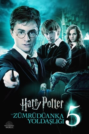 Harry Potter ve Zümrüdüanka Yoldaşlığı Türkçe Dublaj İzle