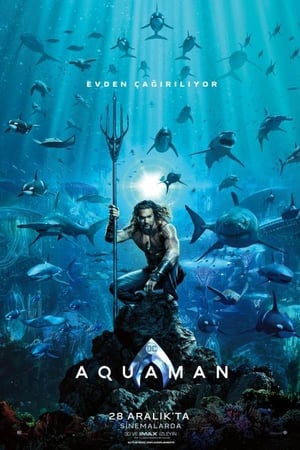 Aquaman 2 İzle 2022 Türkçe Dublaj